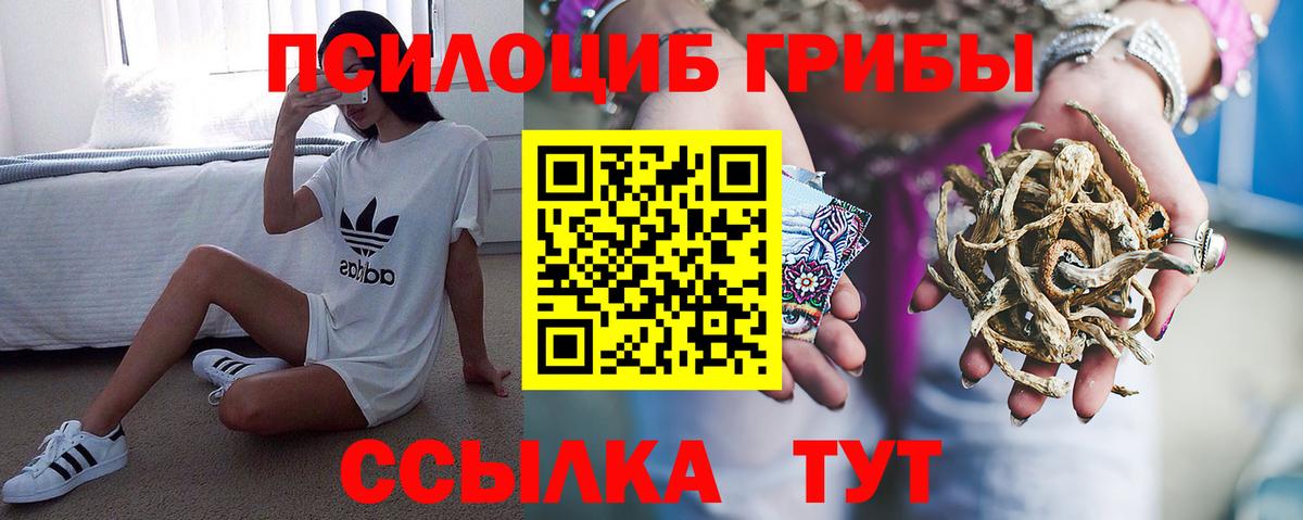 Канаш  Галлюциногенные грибы GOLDEN TEACHER  Вход с VPN 