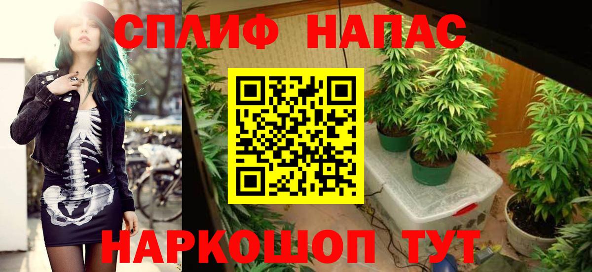 Каннабис Amnesia  Канабис планчик  Канаш  Бошки марихуана марихуана  Вход с VPN 